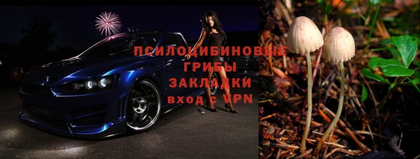 дурь Няндома