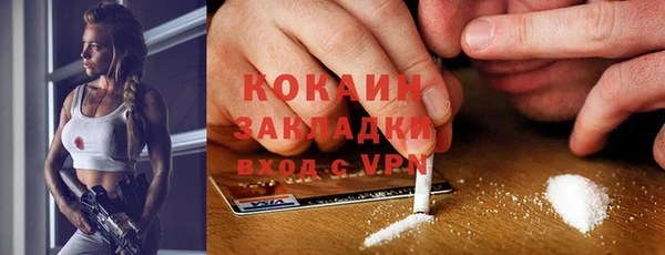 дурь Няндома