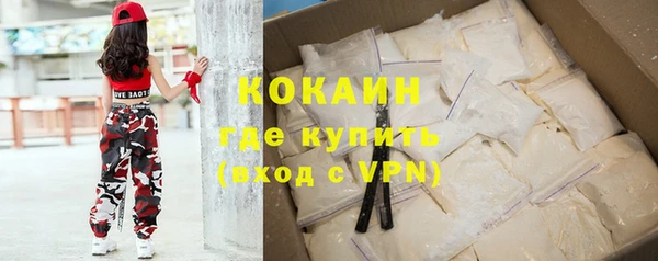 дурь Няндома