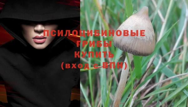 дживик Новокубанск
