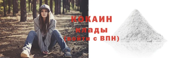 круглые Новодвинск