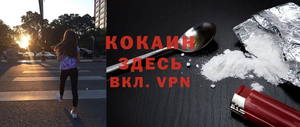 дурь Няндома