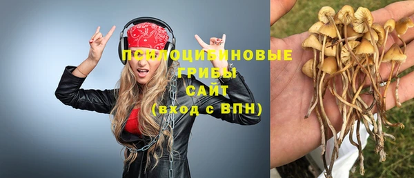 прущая мука Новозыбков