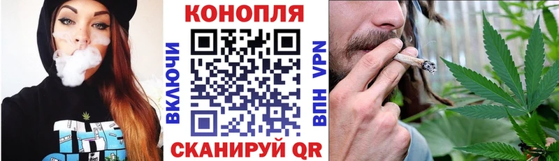 Бошки Шишки гибрид Барнаул